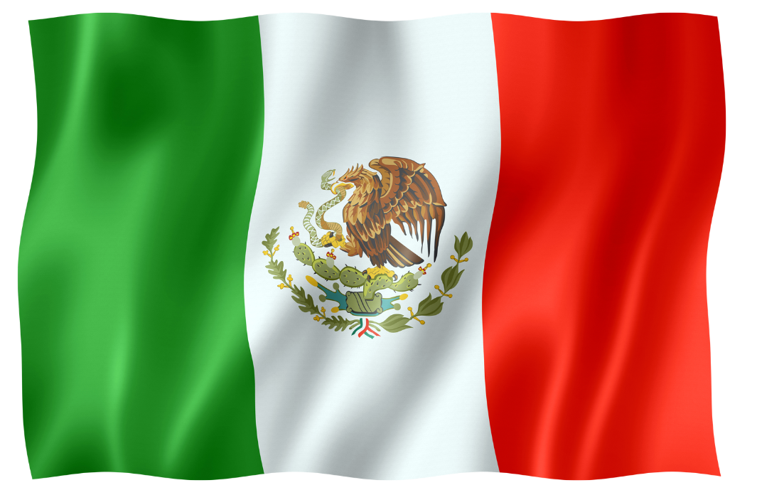 bandera2